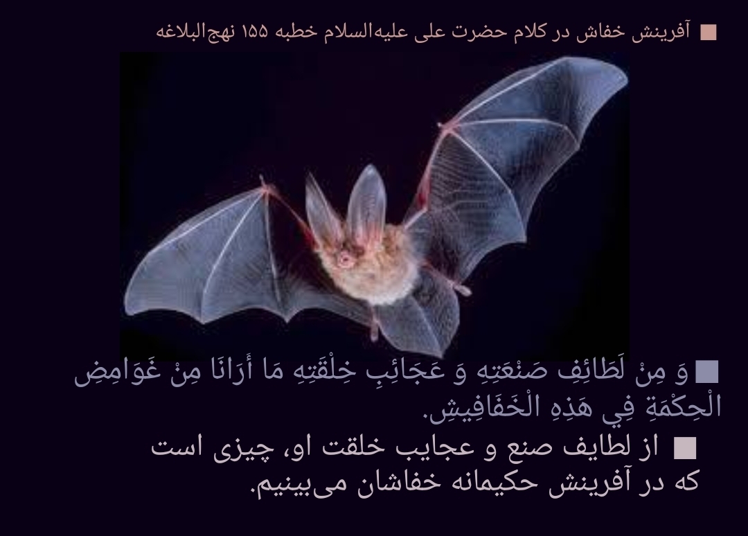 روز ستایش مفاهیم آسمانی